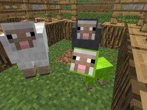 Hogyan szaporodnak az állatok Minecraft
