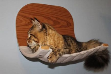 Hogyan készítsünk egy függőágy macskáknak