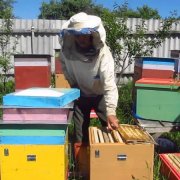 Hogyan lehet csalánkiütés a méhek saját kezűleg otthon lépésről lépésre rajzokkal és