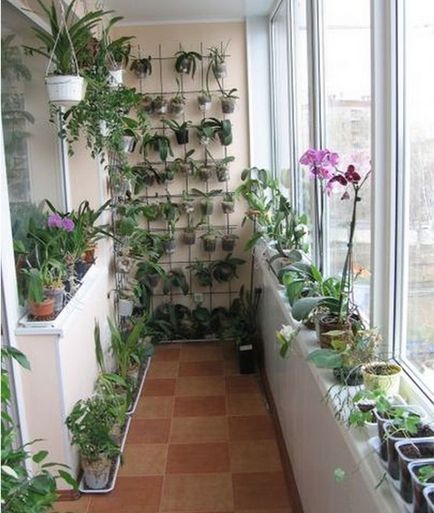 Hogyan díszíteni erkély virággal, 16 fotó virágkompozíciókkal, ajánlások termesztésére tél