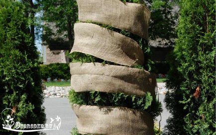 Hogyan lehet elrejteni a arborvitae télen - ötletek részletesen (tipp) Hogyan lehet elrejteni a arborvitae télen - Tippek részletesen