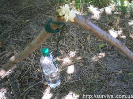 Hogyan vizet forralni egy műanyag palackot a tűz - quaer