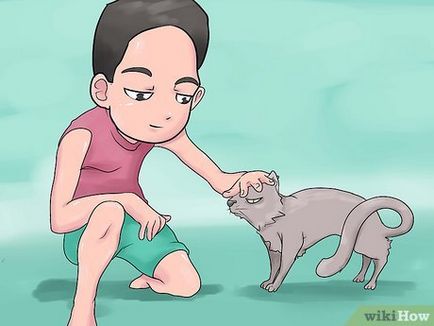 Hogyan törődik macska
