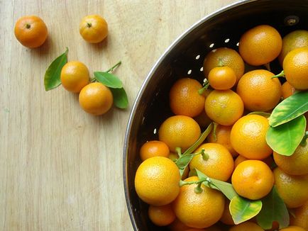 Calamondin - termesztés, gondozás és transzplantációs otthon, ha lehet enni a gyümölcsöt a citrusfélék, video