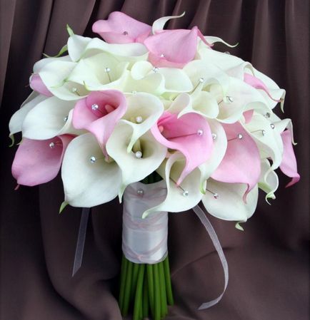 Callas a menyasszonyi csokor (Calla) Callas a menyasszonyi csokor