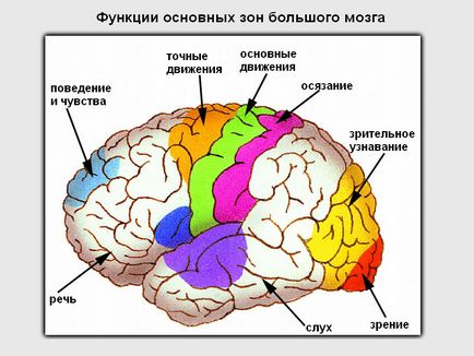 Amikor egy bal oldali stroke-bénulás