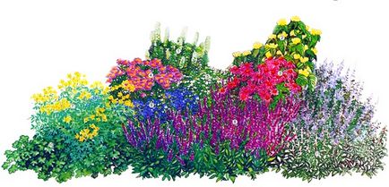 Gyönyörű virágágyás - hogyan lehet a rendszert, és a képek a gyönyörű virágágyások, a kedvenc virágok