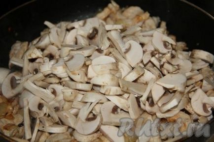Csirkemell filé tejszínes gombával - recept fotókkal