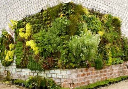 Tájrendezés kertvárosi övezetben top 50 kép az udvar egy vidéki ház