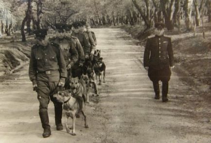 Legend Határőrség ötven tényeket Karatsupa - a forrása a jó hangulat