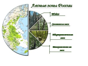 Forest Hungary zóna