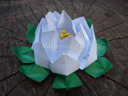 Lotus papír origami art