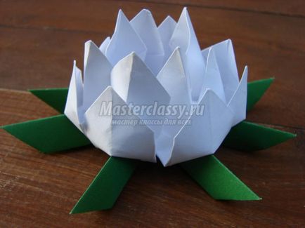 Lotus papír origami art