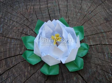 Lotus papír origami art