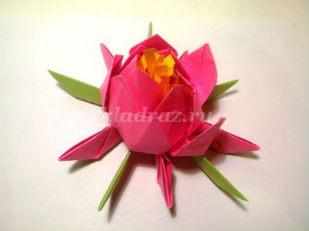 Lotus az origami technikával saját kezűleg