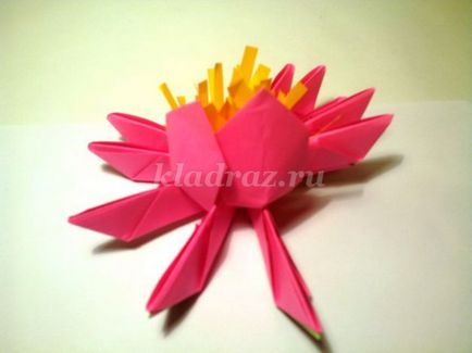 Lotus az origami technikával saját kezűleg