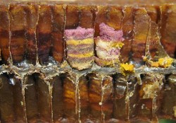 Haj maszk mézzel - és a receptek otthoni használatra