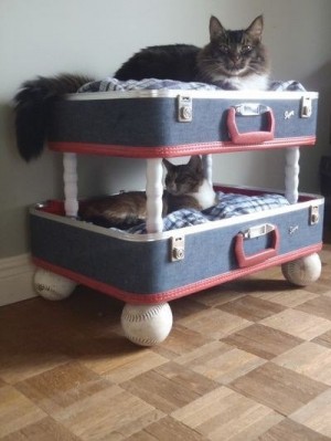 Bútor macskáknak