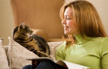 Nyávog macska vagy macska, hogyan és miért a cica meows állandóan ok nélkül, video