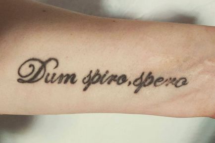 Latin betűkkel tetoválás fordítására mondatok és képek tetoválás