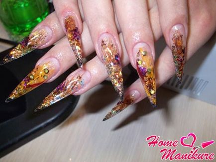 Nail „akvárium” akvárium tervezés fotó 2014