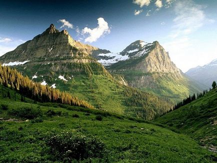 Területek magassági zónák és a természet hegyek hegyi erdei növények, állatok, éghajlat vagy különös