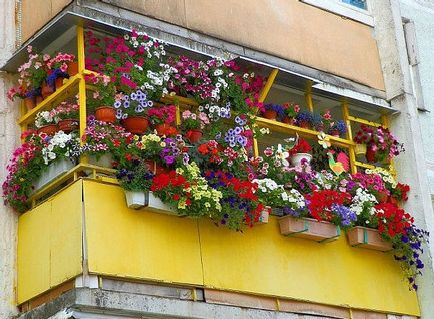 Így az erkélyen a virágok és a design, stand ampelnye díszíteni gyönyörű növényeket, fotók