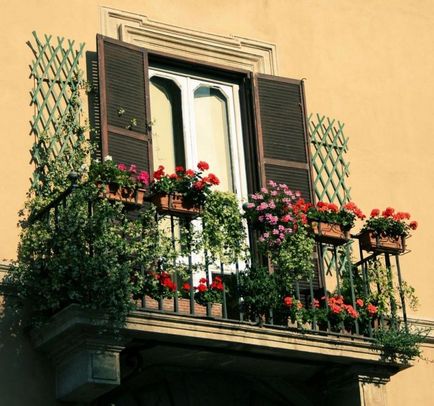 Így az erkélyen a virágok és a design, stand ampelnye díszíteni gyönyörű növényeket, fotók