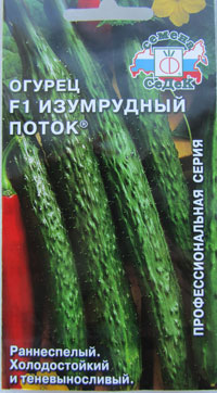 Uborka Emerald áramlási jellemző és a leírás a fajta, különösen ültetés