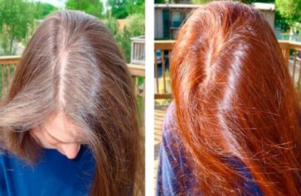 Hajszínező Henna - Hogyan festeni a haját hennával, hogy milyen gyakran festeni a haját hennával henna haj