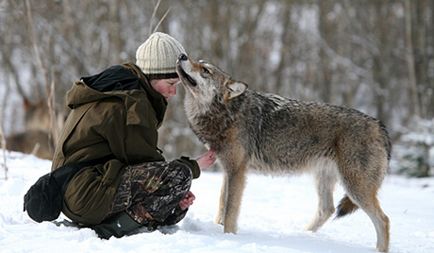 Adjon meg egy farkas vagy kutya dolgozunk farkasok - Wolfsschanze