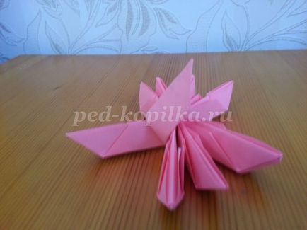 origami lótusz