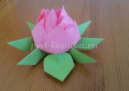 origami lótusz