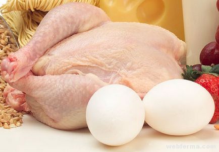 Fajta csirkék A hús és tojás irányba