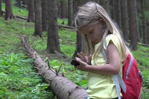 Magatartási szabályok az erdőben gyerekeknek (memo)