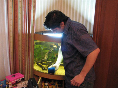 Megfelelő tisztítás egy akvárium otthon
