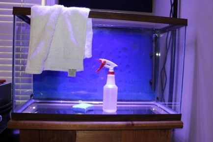 Megfelelő tisztítás egy akvárium otthon