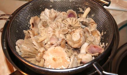 Előállítás syroezhek fotó és videó-receptek, hogyan kell főzni a gombát a betakarítás után