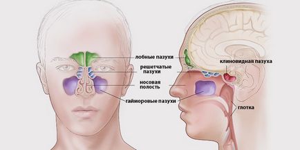 X-sugarak az orrmelléküregek, mint csinál és hogyan kell megfejteni a kép
