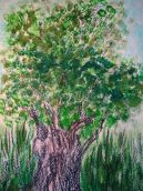 Pine Akvarell óvodás állapotok fotókkal