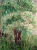 Pine Akvarell óvodás állapotok fotókkal