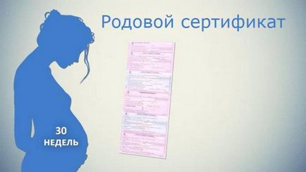Születési anyakönyvi kivonat, amely így, miután a kórházból való kikerülés