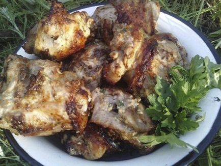 Nyárs csirke receptek 8