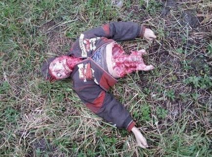 Kutyák - kannibálok kóbor kutyák kitépte a fiú Ufa, és megtámadta a gyermeket Voronyezs - gyilkosság