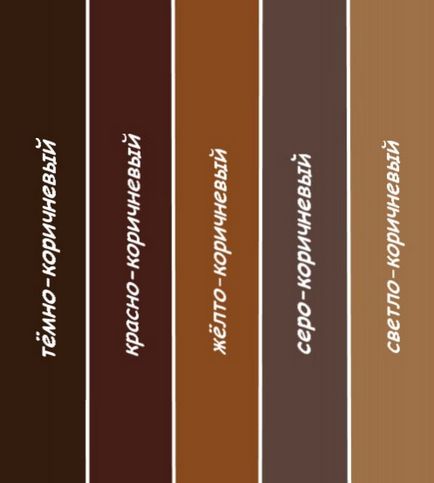 A kombináció a barna ruhát - tippeket kombinációja barna más színű