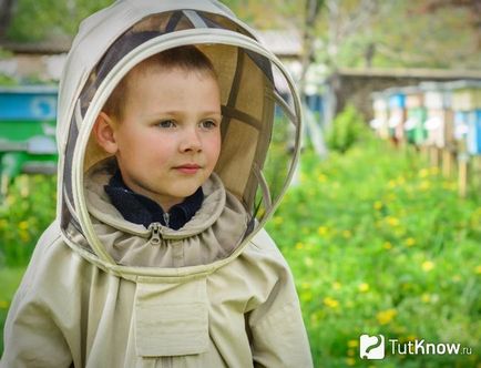Félelem a méhek okoz, megnyilvánulásai, módon tudják kezelni