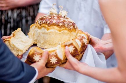 A szkript az esküvő TOASTMASTER versenyvizsgáival 2016 szabályok