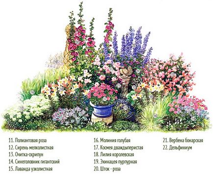 Scheme ágyak folyamatos virágzás évelő növények - virágok ültetése megvalósítási módok