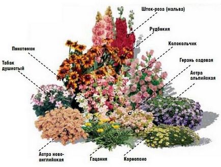 Scheme ágyak folyamatos virágzás évelő növények - virágok ültetése megvalósítási módok