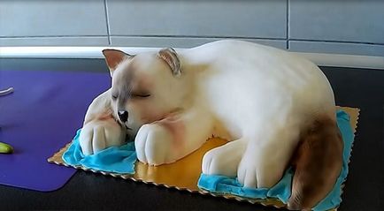 Cake formájában „macska”, lépésről lépésre varázsló macska osztály